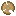 Wood rank