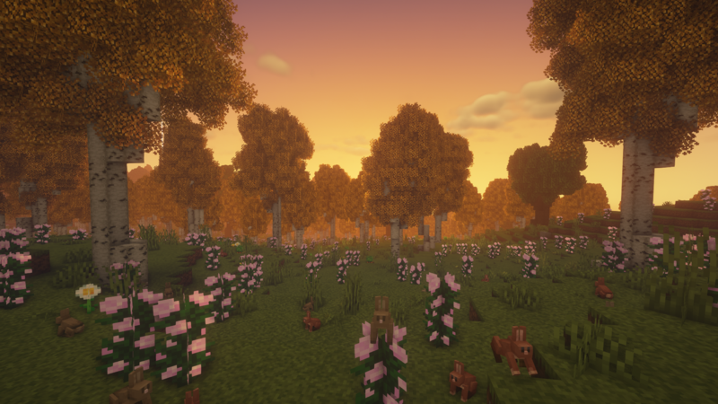 File:Birch Forest.png