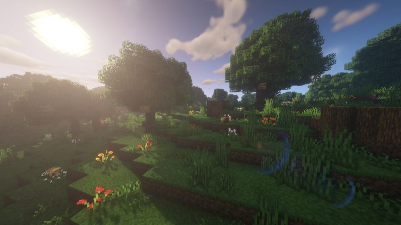 File:Forest.png